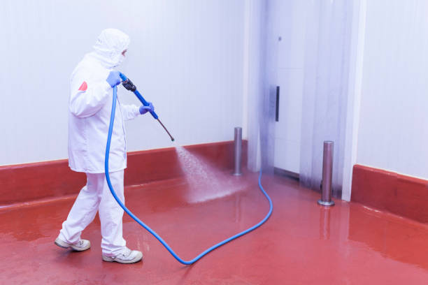 Best Boat and Dock Cleaning  in Kellogg, ID